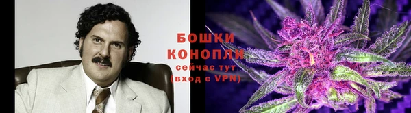 a pvp Новозыбков