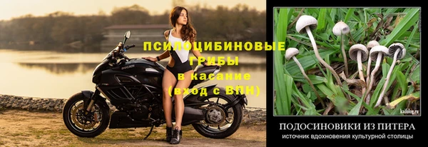 хмурый Абдулино
