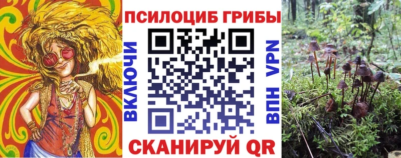 площадка состав  Ленинградская  Псилоцибиновые грибы Psilocybe  hydra зеркало 